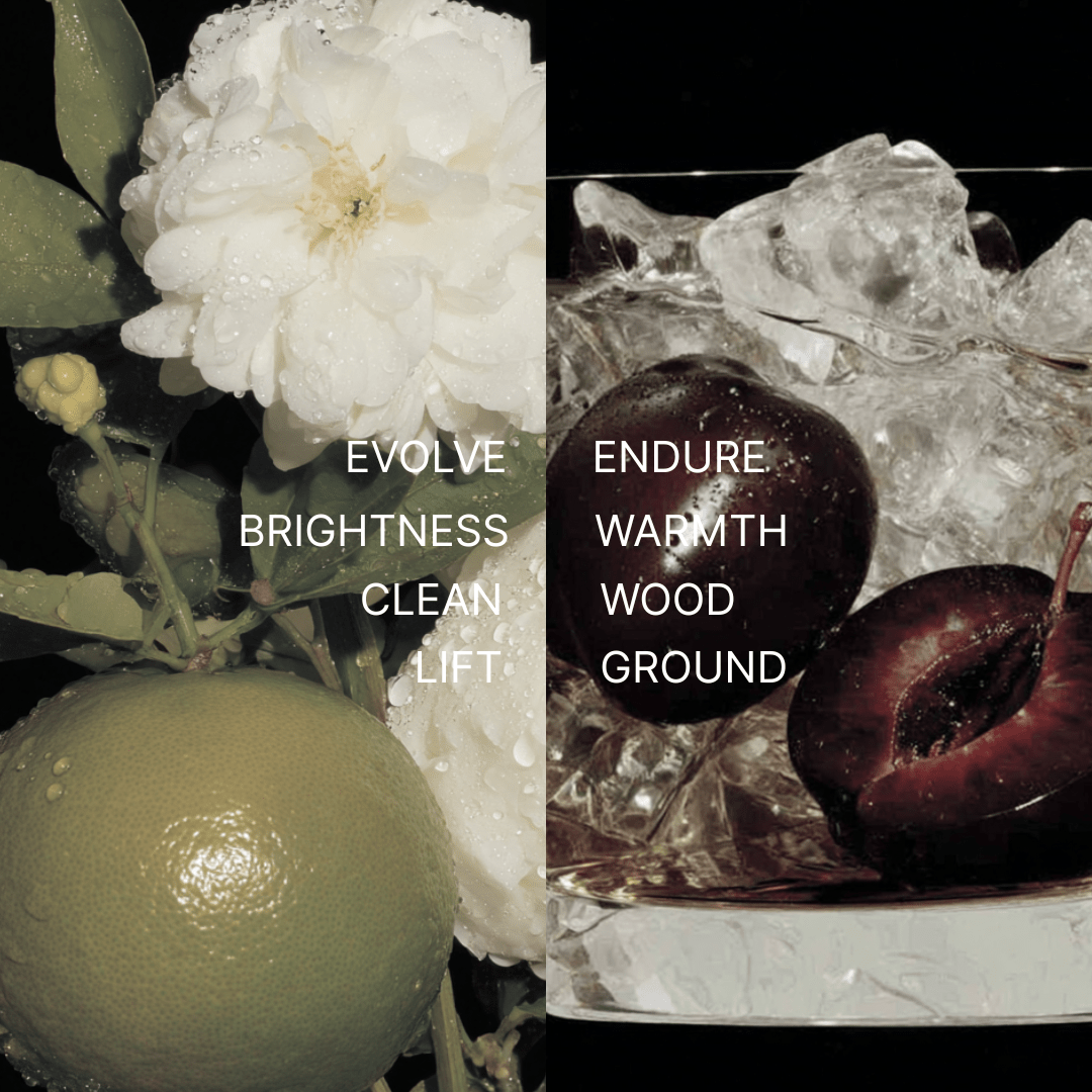 The Debut Discovery Set - 2 x 10ml - ARTIFACT